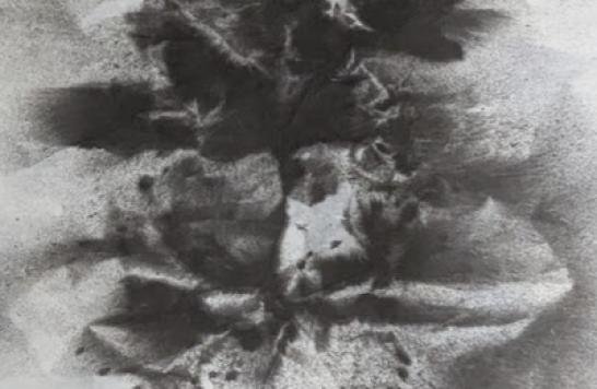 Untitle《無題》，138x69cm， Ink on paper